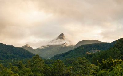 Visit Mount Warning