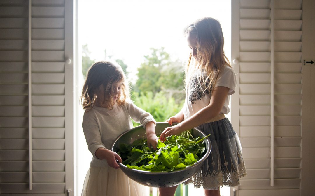 Two girls collect fresh organic salad leaves from the kitchen garden.