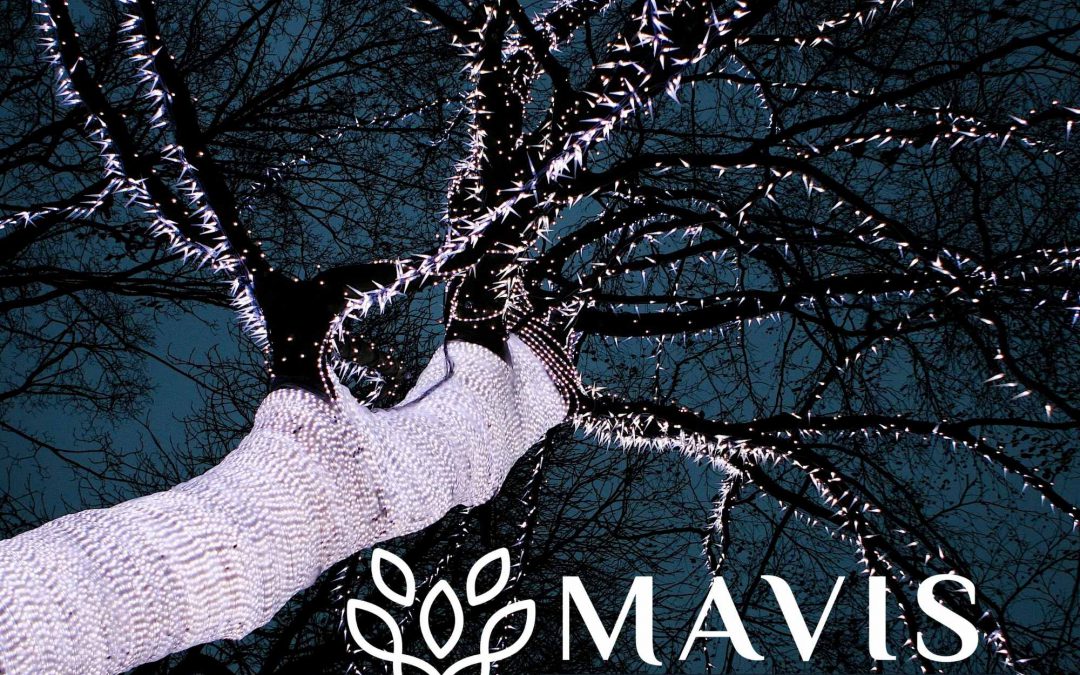 Mavis & The Night Garden Saturday 28th May  2022